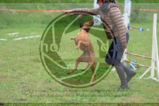 ref. photo 3615017