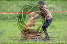 ref. photo 3615018