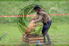 ref. photo 3615019