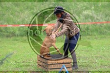 ref. photo 3615020
