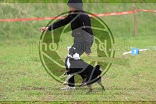 ref. photo 3615067