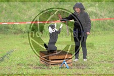 ref. photo 3615069