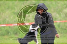 ref. photo 3615074