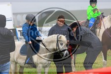 ref. photo 3615173