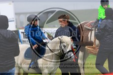 ref. photo 3615175