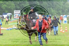 ref. photo 3615195