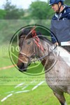 ref. photo 3615214