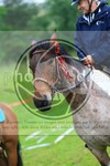 ref. photo 3615215