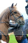 ref. photo 3615245