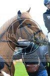 ref. photo 3615246