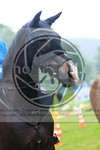ref. photo 3615248