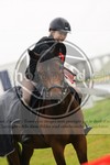 ref. photo 3615257