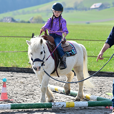 Hasle Dressur und Gymkhana 2026