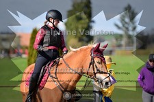 ref. photo 4003701