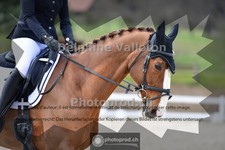 ref. photo 4004037