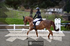 ref. photo 4004048