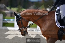 ref. photo 4004067