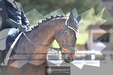 ref. photo 4004119