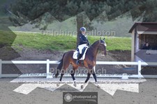 ref. photo 4004125