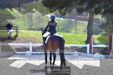 ref. photo 4004146