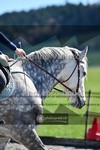 ref. photo 4004596