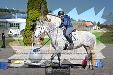 ref. photo 4004616