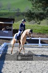 ref. photo 4004691