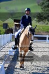 ref. photo 4004693