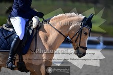 ref. photo 4004705