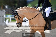 ref. photo 4004753