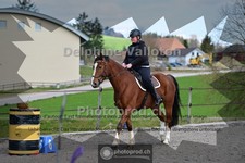 ref. photo 4004800