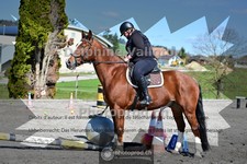 ref. photo 4004852