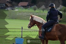 ref. photo 4004943