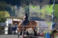 ref. photo 4004991
