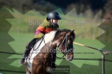 ref. photo 4005160