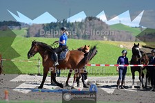 ref. photo 4005233
