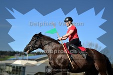 ref. photo 4005293
