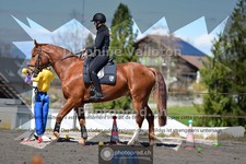 ref. photo 4005514