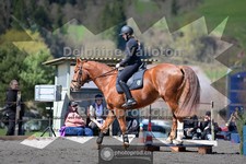 ref. photo 4005517