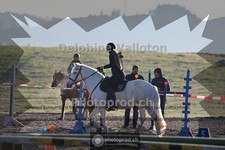ref. photo 4005616