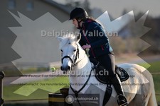 ref. photo 4005619