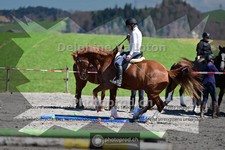 ref. photo 4005793