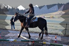 ref. photo 4006006