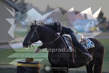 ref. photo 4006013