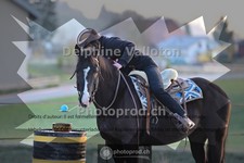 ref. photo 4006014