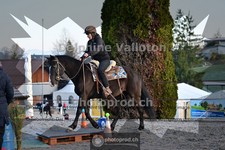 ref. photo 4006023