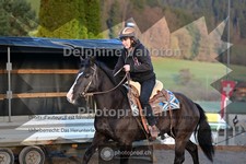 ref. photo 4006026