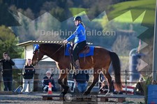 ref. photo 4006041