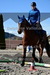 ref. photo 4006049