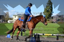 ref. photo 4006055